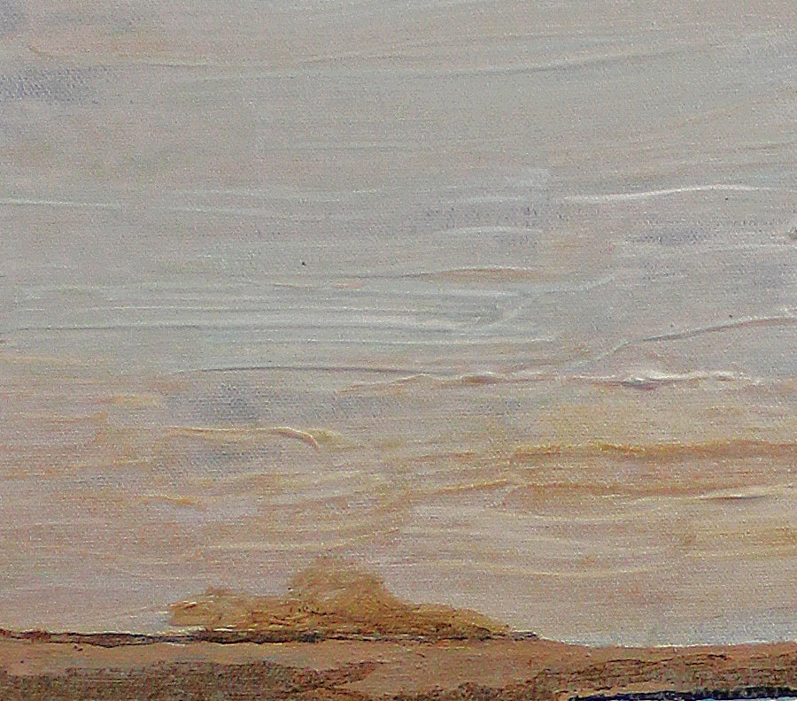 SALT PANS 4 paintings for a natural cool decor.