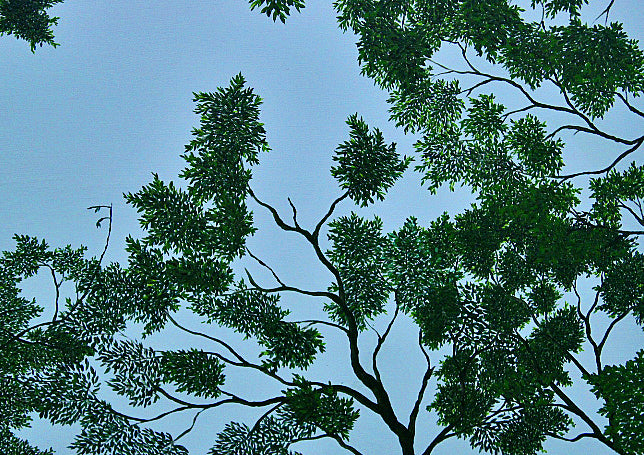 CANOPY A calm sky‑blue abstract with branches and individually painted leaves forming a gentle canopy. A serene contemporary artwork evoking the quiet of lying on cool grass beneath rustling trees. Perfect for natural, tranquil interiors.