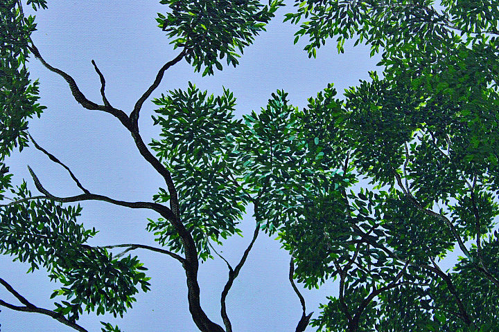 CANOPY A calm sky‑blue abstract with branches and individually painted leaves forming a gentle canopy. A serene contemporary artwork evoking the quiet of lying on cool grass beneath rustling trees. Perfect for natural, tranquil interiors.